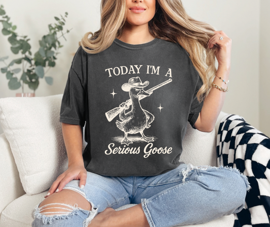 Today I’m a Serious Goose
